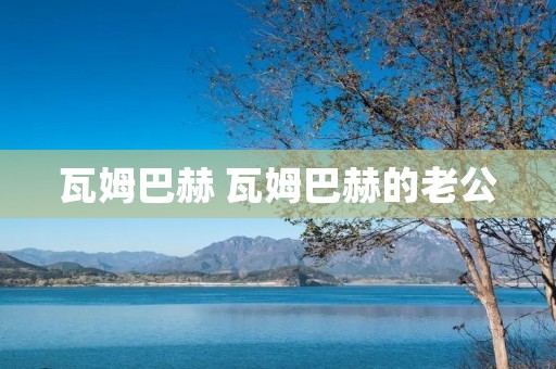 瓦姆巴赫 瓦姆巴赫的老公