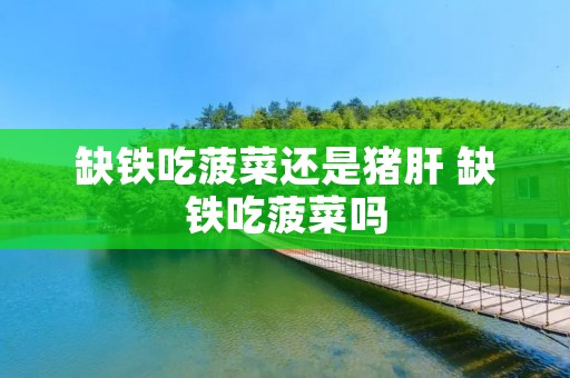 缺铁吃菠菜还是猪肝 缺铁吃菠菜吗