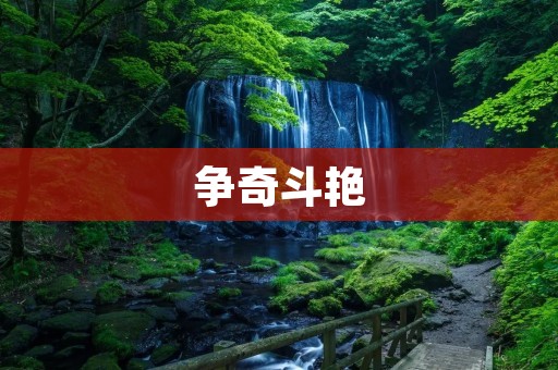 争奇斗艳：谈谈人们对于美的追求