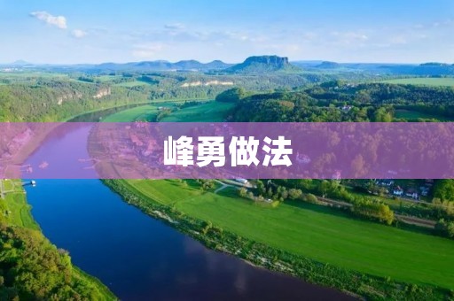 峰勇做法:提高企业管理效率的有效途径 峰勇做法:提高企业管理效率的有效途径