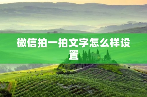 微信拍一拍文字怎么样设置