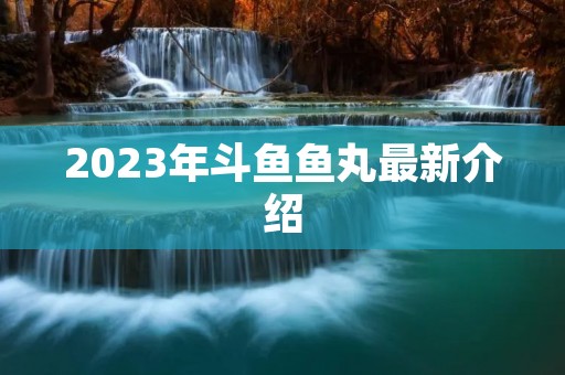 2023年斗鱼鱼丸最新介绍 2023年斗鱼鱼丸最新介绍