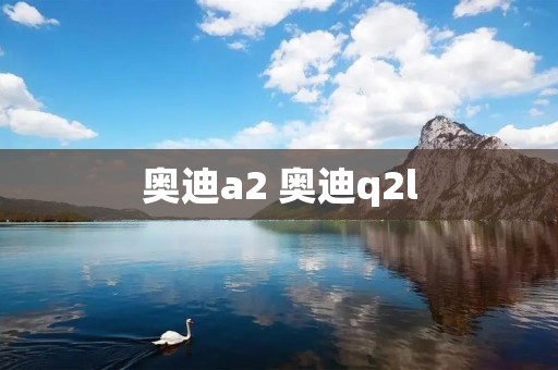 奥迪a2 奥迪q2l
