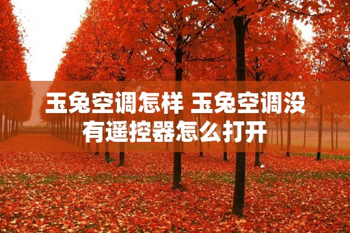 玉兔空调怎样 玉兔空调没有遥控器怎么打开 玉兔空调怎样 玉兔空调没有遥控器怎么打开