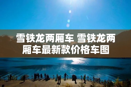 雪铁龙两厢车 雪铁龙两厢车最新款价格车图