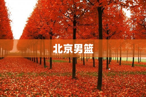 北京男篮：追梦未来的篮球强队