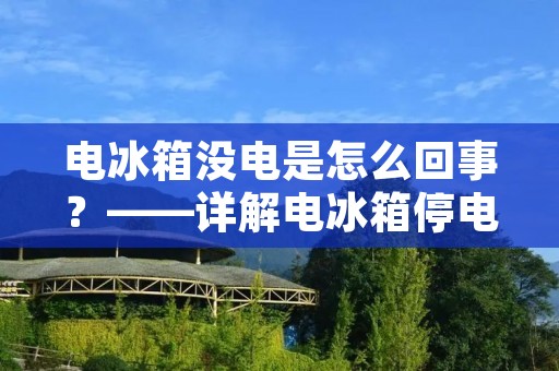 电冰箱没电是怎么回事？——详解电冰箱停电原因及应对方法
