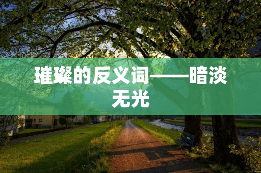 璀璨的反义词——暗淡无光 璀璨的反义词——暗淡无光