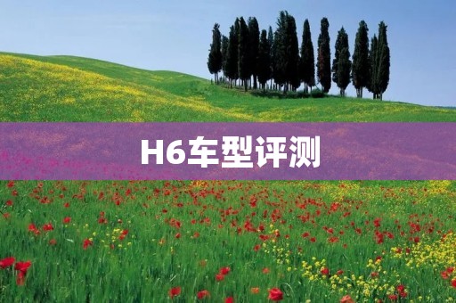 H6车型评测:动力表现出色,空间设计合理 H6车型评测:动力表现出色,空间设计合理