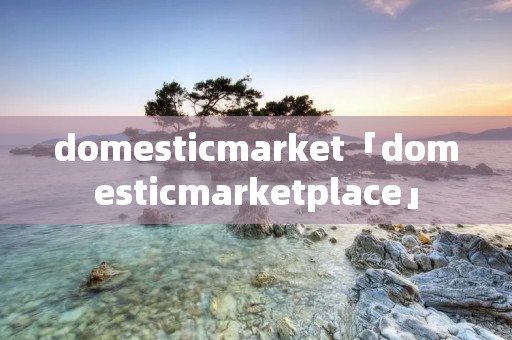domesticmarket「domesticmarketplace」