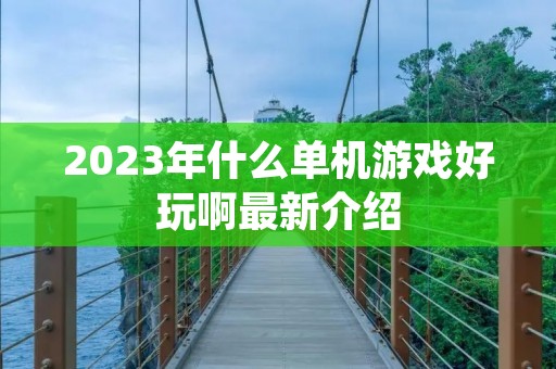 2023年什么单机游戏好玩啊最新介绍 2023年什么单机游戏好玩啊最新介绍