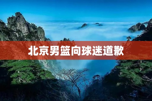 北京男篮向球迷道歉：重视精神文明建设的必要性