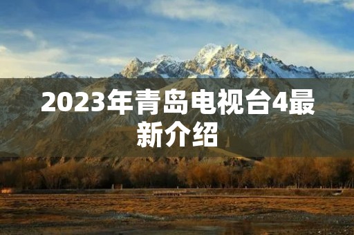 2023年青岛电视台4最新介绍