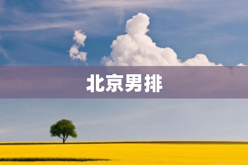 北京男排：从“独苗”到“新生力量”