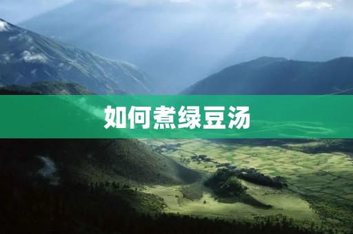 如何煮绿豆汤