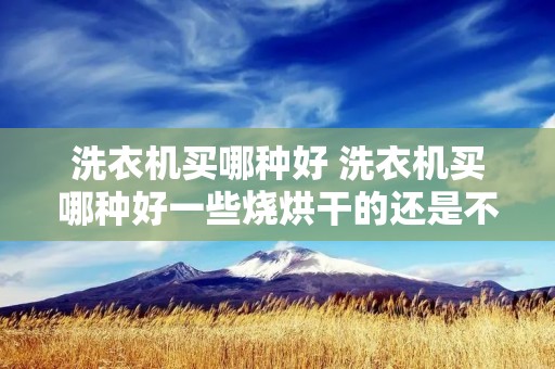 洗衣机买哪种好 洗衣机买哪种好一些烧烘干的还是不烘干的 洗衣机买哪种好 洗衣机买哪种好一些烧烘干的还是不烘干的