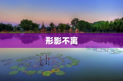 形影不离:一个人与技术的关系