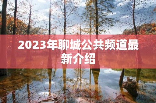 2023年聊城公共频道最新介绍 2023年聊城公共频道最新介绍