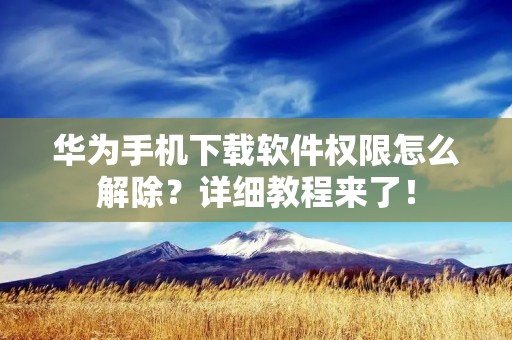 华为手机下载软件权限怎么解除?详细教程来了!
