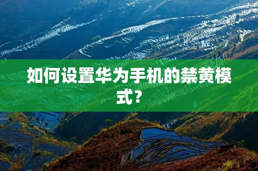 如何设置华为手机的禁黄模式?