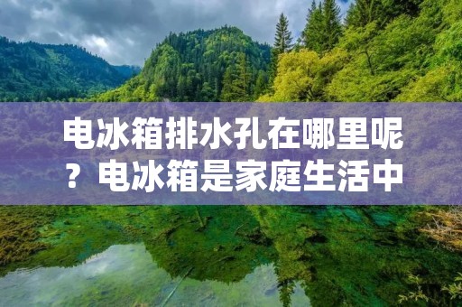 电冰箱排水孔在哪里呢？电冰箱是家庭生活中必不可少的电器之一。它不仅能够保鲜食物，还能为我们制冷、制冰。但是，有时我们可能会发现电冰箱内部出现水渍，这时候就需要排水孔来解决问题。那么，电冰箱排水孔在哪里呢？下面就来详细介绍。