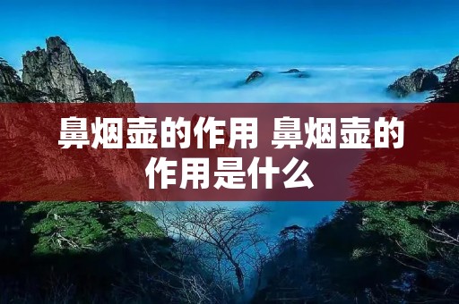 鼻烟壶的作用 鼻烟壶的作用是什么