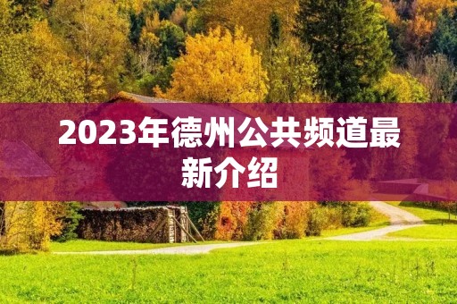 2023年德州公共频道最新介绍 2023年德州公共频道最新介绍