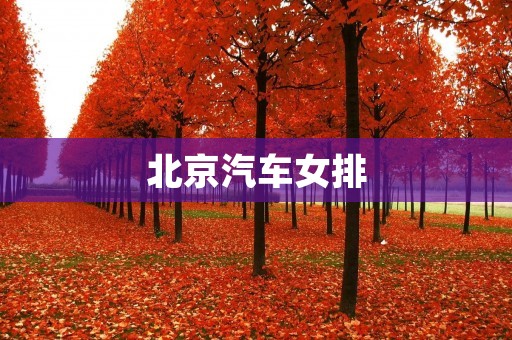 北京汽车女排:打造强劲实力,向冠军发起冲击 北京汽车女排:打造强劲实力,向冠军发起冲击