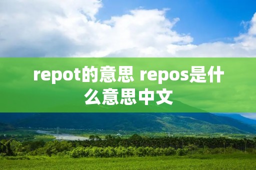repot的意思 repos是什么意思中文