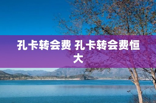 孔卡转会费 孔卡转会费恒大