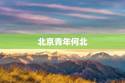 北京青年何北:阅读与思考的艺术 北京青年何北:阅读与思考的艺术