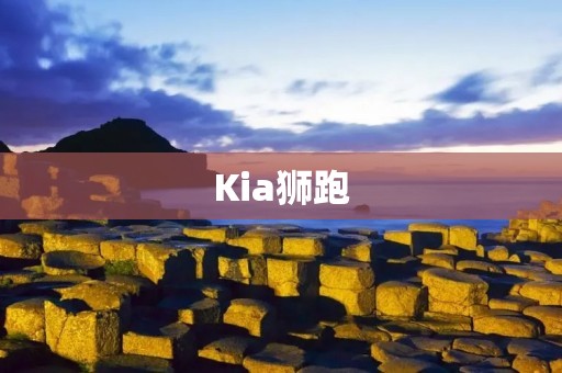 Kia狮跑：带你领略高品质SUV的魅力
