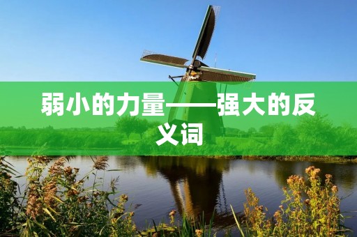 弱小的力量——强大的反义词