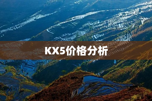 KX5价格分析:值不值得入手? KX5价格分析:值不值得入手?