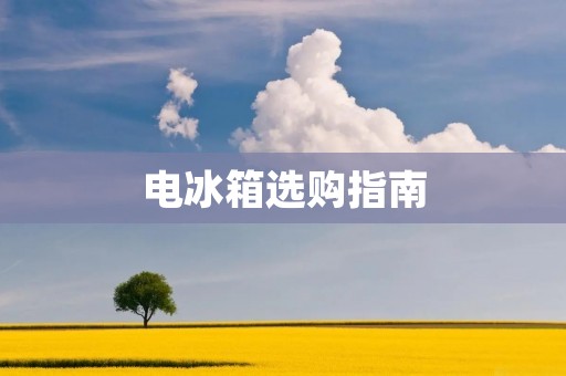 电冰箱选购指南：哪个品牌最好？
