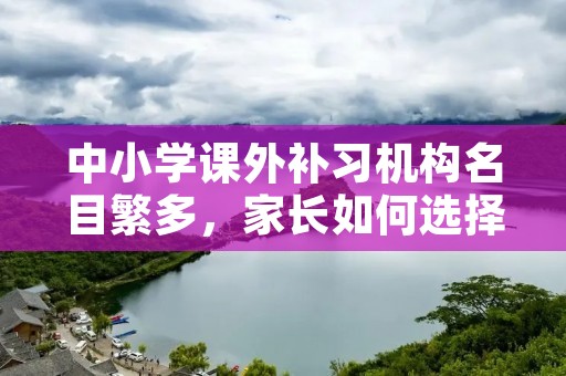 中小学课外补习机构名目繁多,家长如何选择?