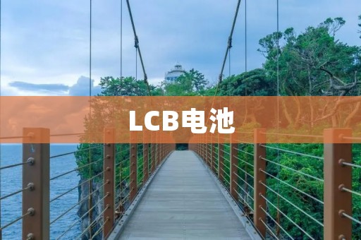 LCB电池:高性能、高安全的新型电池 LCB电池:高性能、高安全的新型电池