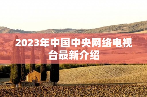 2023年中国中央网络电视台最新介绍