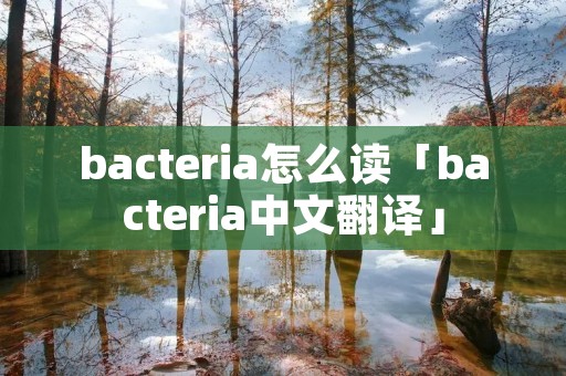 bacteria怎么读「bacteria中文翻译」