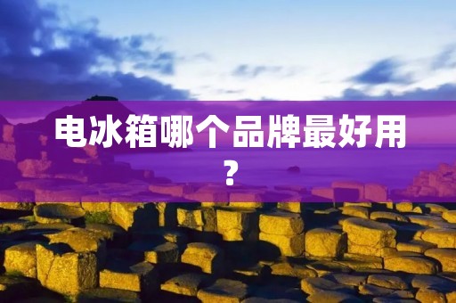 电冰箱哪个品牌最好用？