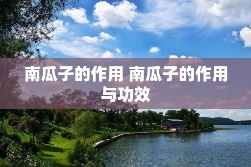 南瓜子的作用 南瓜子的作用与功效