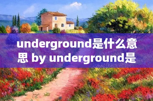 underground是什么意思 by underground是什么意思