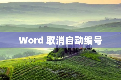 Word 取消自动编号