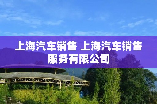 上海汽车销售 上海汽车销售服务有限公司
