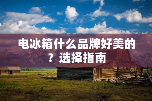 电冰箱什么品牌好美的?选择指南 电冰箱什么品牌好美的?选择指南