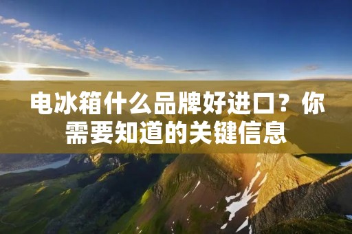 电冰箱什么品牌好进口?你需要知道的关键信息 电冰箱什么品牌好进口?你需要知道的关键信息