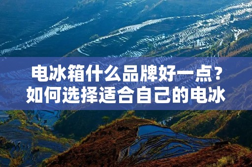 电冰箱什么品牌好一点?如何选择适合自己的电冰箱? 电冰箱什么品牌好一点?如何选择适合自己的电冰箱?