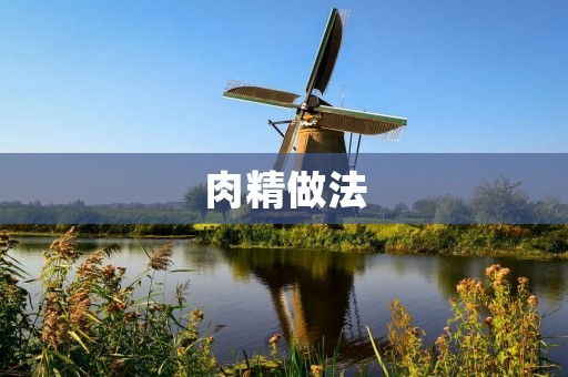 肉精做法：如何制作口感鲜美的肉精