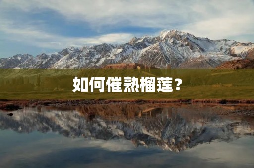 如何催熟榴莲?