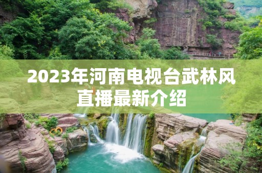 2023年河南电视台武林风直播最新介绍
